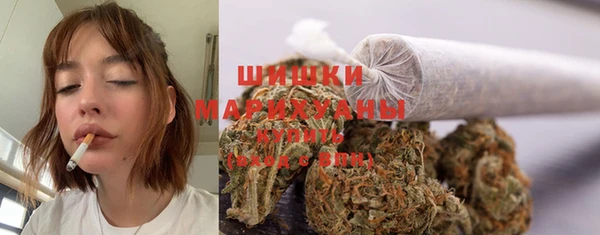 прущие грибы Лабытнанги