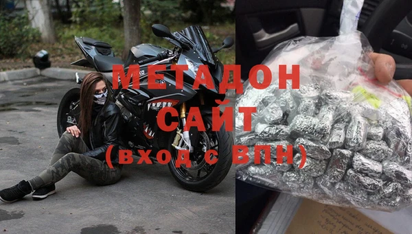 прущие грибы Лабытнанги