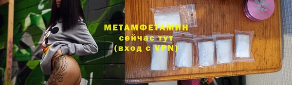 прущие грибы Лабытнанги
