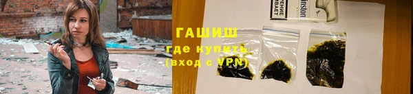 прущие грибы Лабытнанги