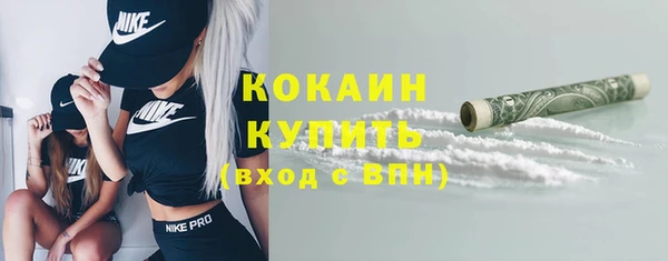 прущие грибы Лабытнанги