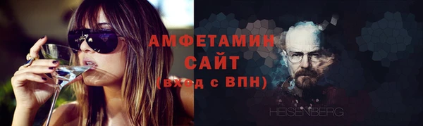 прущие грибы Лабытнанги