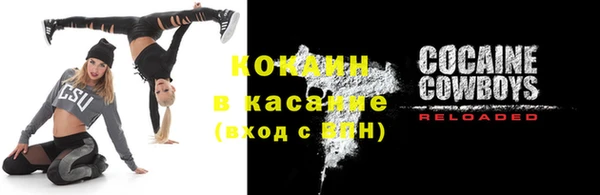 прущие грибы Лабытнанги