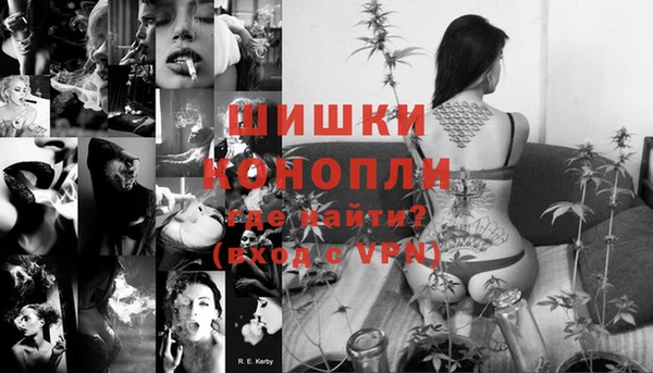 прущие грибы Лабытнанги