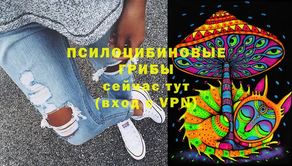 герыч Лагань