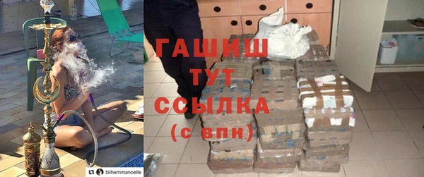прущие грибы Лабытнанги