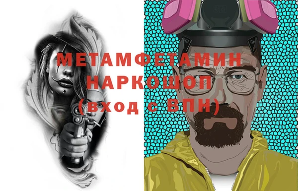 прущие грибы Лабытнанги