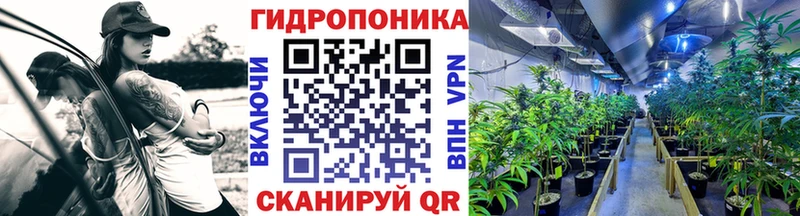 Бошки Шишки семена Новосиль